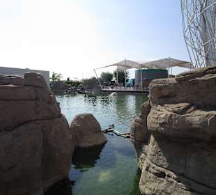 Aquarium / Oceanongrafic