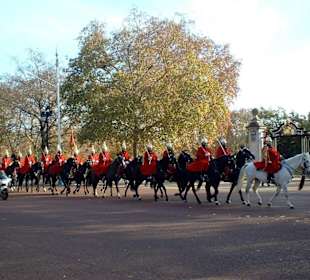 Horse guard