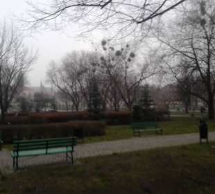 Park Staromiejski 