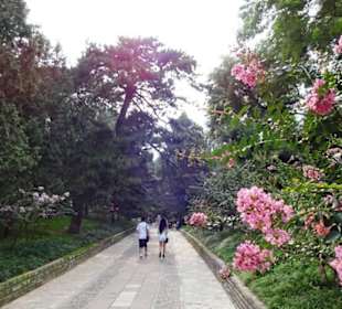 Summer Palace (Yiheyuan)