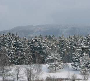 Im Winter