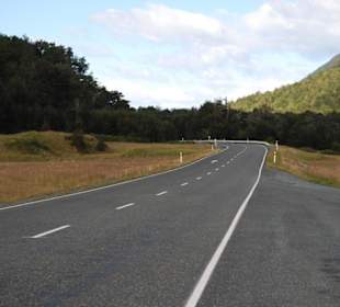 Просторы Новой Зеландии.