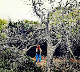 Wandern Can Picafort