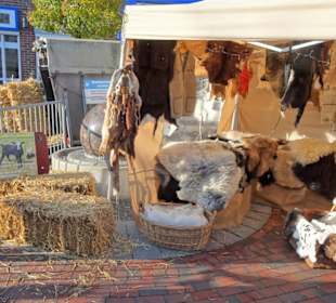 Impressionen vom Gänsemarkt Wildeshausen