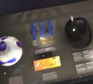 FIFA World Football Museum