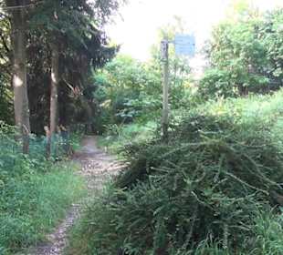 Georgenberg