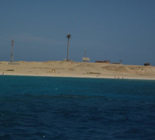 Wer kennt Sie nicht?