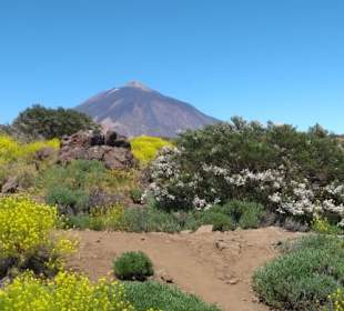  Parque Nacional del Teide