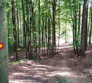 Waldweg