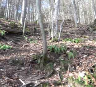 Wasserfallsteig