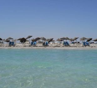 Flamingoinsel - Strand