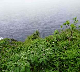 Inselrundfahrt Madeira