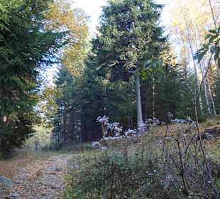 Riesengebirge/Karkonosze