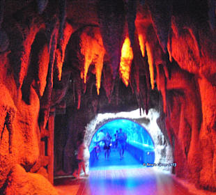 Aquarium-Tunnelgang 131m lang