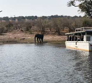 Mi dem Safariboot unterwegs auf Chobe