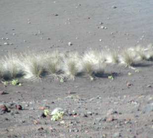Timanfaya (Montanas del Fuego)