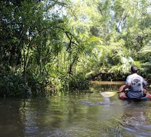 Little Amazonas