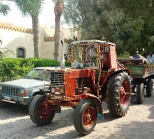 Ausflug El Gouna mit Alex Andra