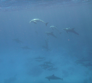 Ausflug mit SimSim Reisen