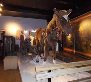 Im Auswanderermuseum