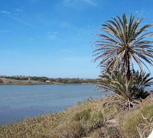 Im Naturschutzgebiet Massa
