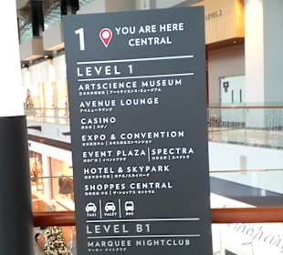 The Shoppes at Marina Bay Sands