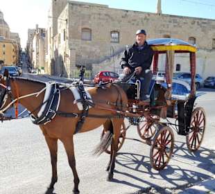 Kutsche für 2 - 4 Personen