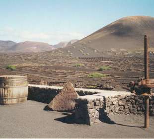 Lanzarote - La Geria