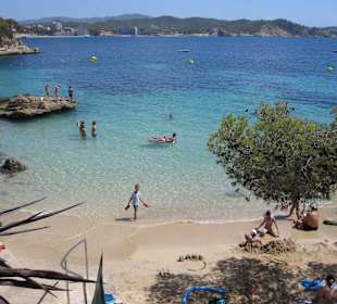 Bucht Cala Fornells, 15 Minuten vom Hotel Club Europa fußläu