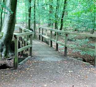 Brücke über den Bach Welse im Tiergarten