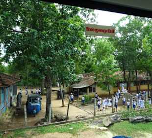 Elefantenreiten Sigiriya