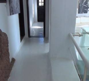 Museo Lagomar