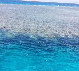 Korallenriff auf Bootstour