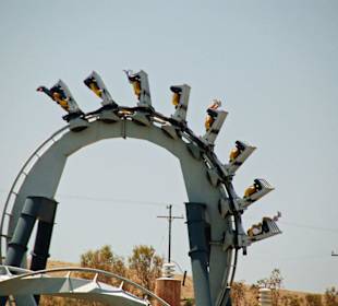 Batman - The Ride Looping