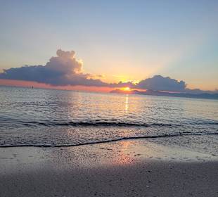 Strand Playa/Platja de Muro