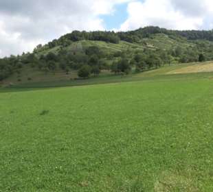 Wanderweg Ammerbucher Gigeleswegle