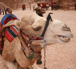 Warten auf Kundschaft