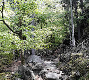 Rissloch Wasserfälle