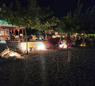 Sundalia on the beach