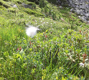 Wandern Neukirchen am Großvenediger
