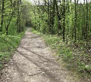 Walderlebnisweg Rottenburg