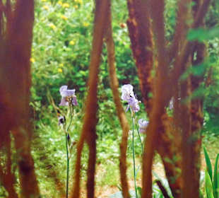 Ein Bild mit "Tiefe" , gefällt mir gut