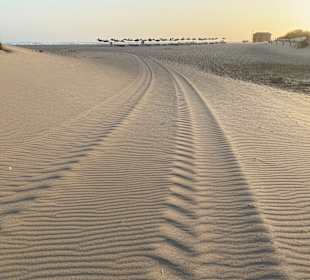 Strand Cala Mesquida