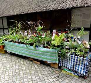 Bauernmarkt im Kreismuseum
