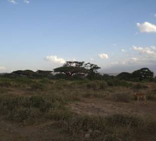 Direkt nach der Einfahrt in den Park