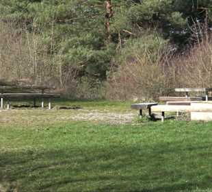 Hirschauer Spitzbergwegle (Premiumspazierwanderweg