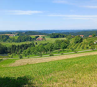 Am Hochsetz ( 484 m )