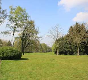 Landschaft
