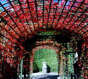 Ein Laubengang im Herbstkleid