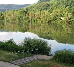 Wandern Zell (Mosel)